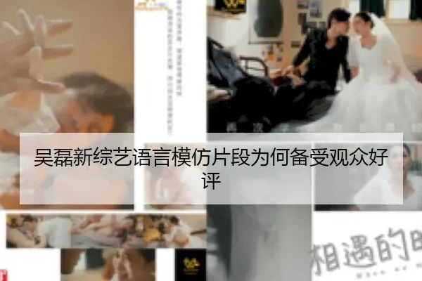 吴磊新综艺语言模仿片段为何备受观众好评